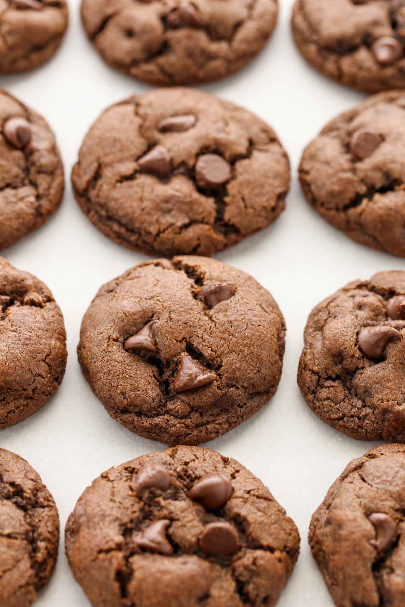 Double Chocolate Chip Cookies - Live Well Bake Often