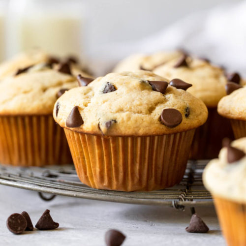 Chocolate Chip Muffins