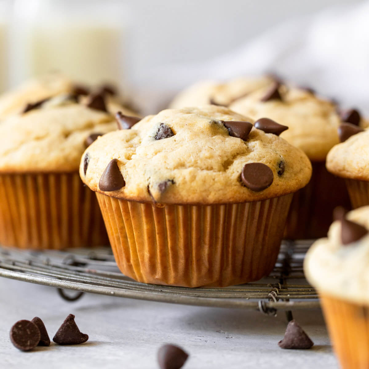 Chocolate Chip Muffins - Live Well Bake Often