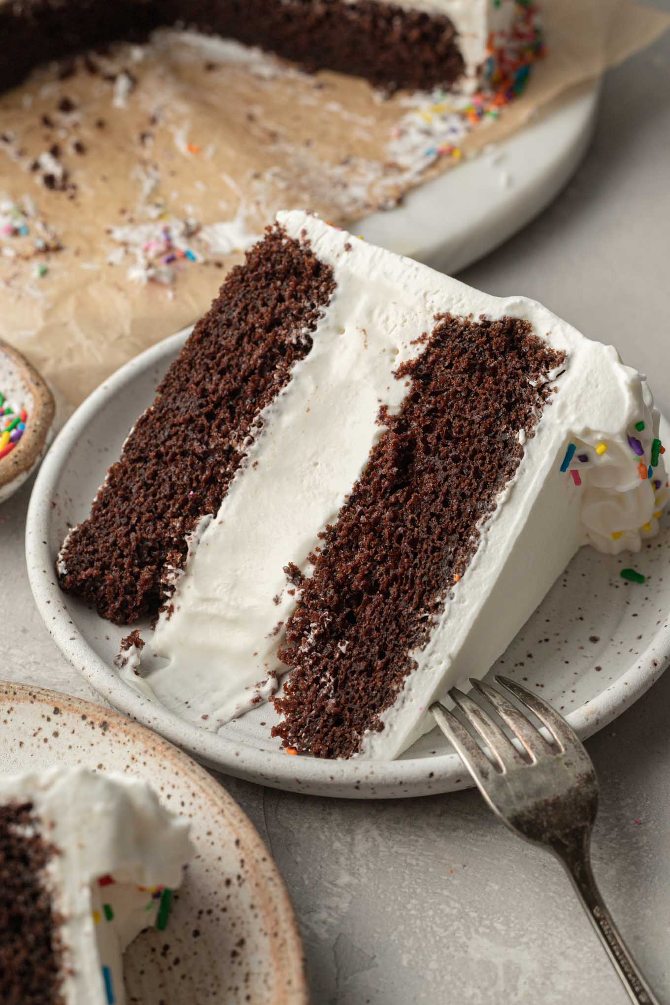 Easy Chocolate Ice Cream Cake Recipe