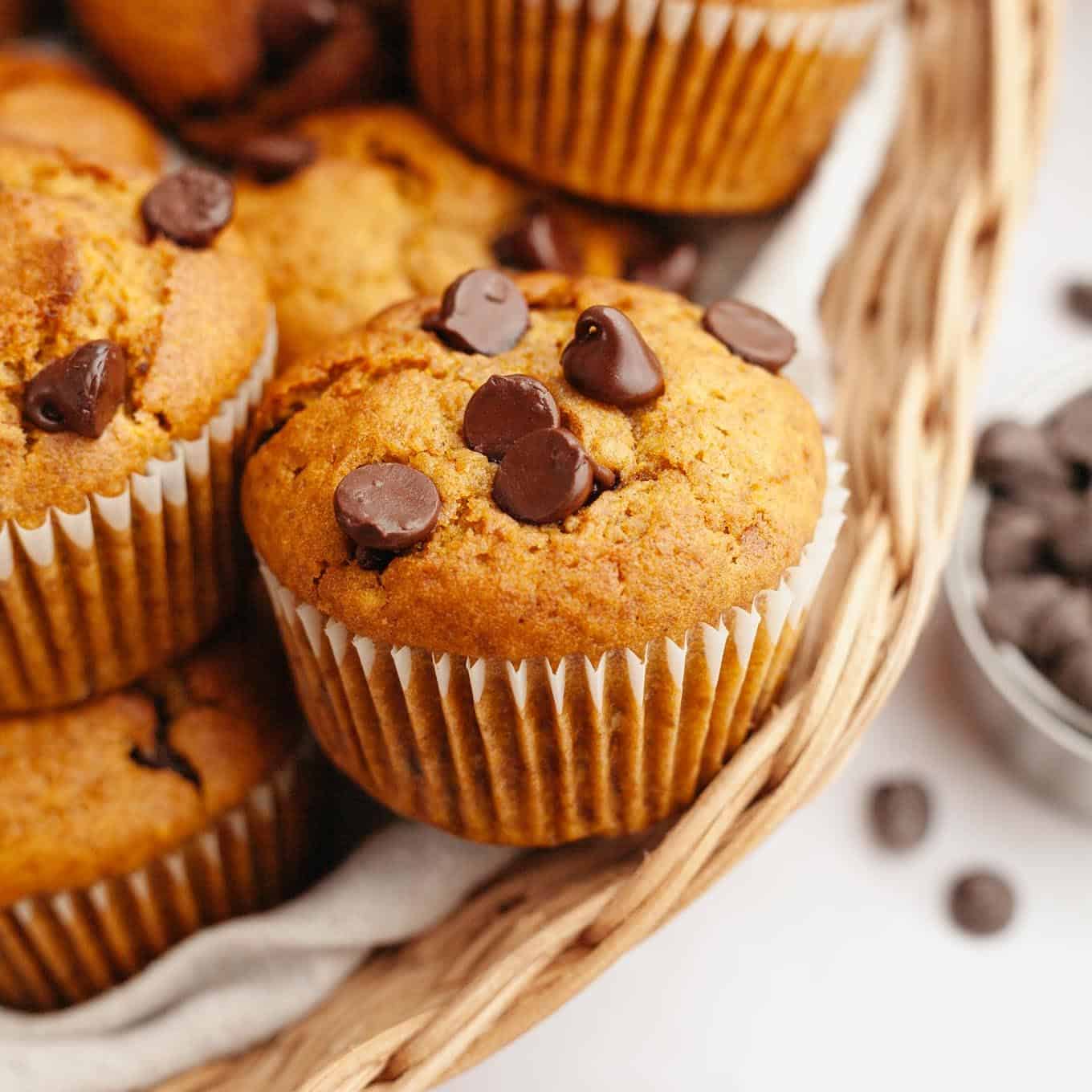 Pumpkin Chocolate Chip Muffins-image