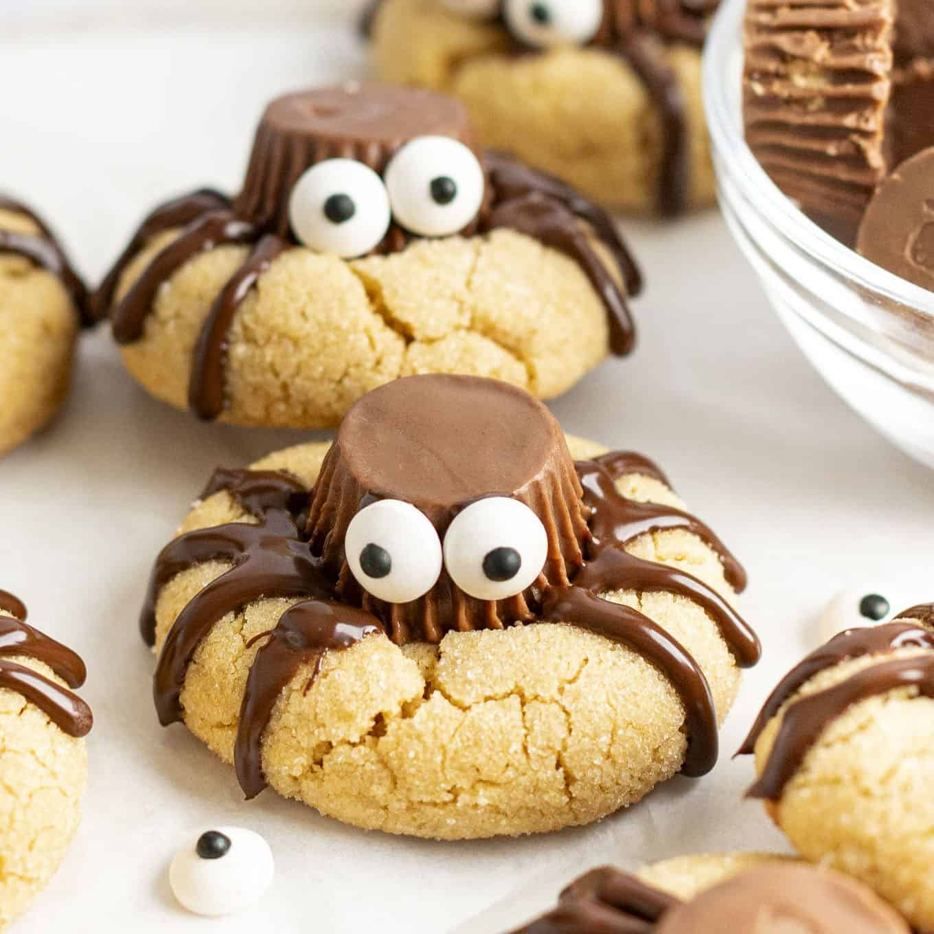 Spider Cookies
