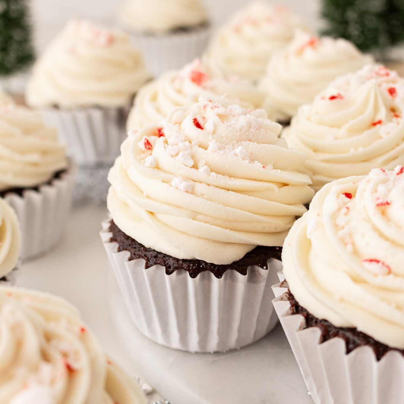 Peppermint Bark Cupcake Recipe
